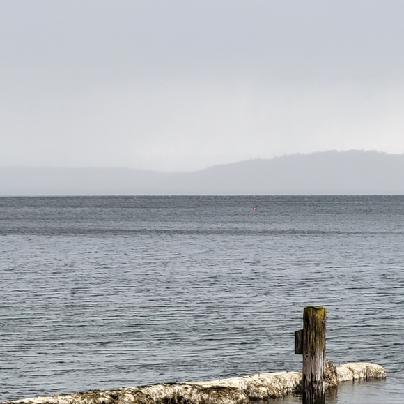 Meet your Posher, Charlotte - Picture 4 of 15